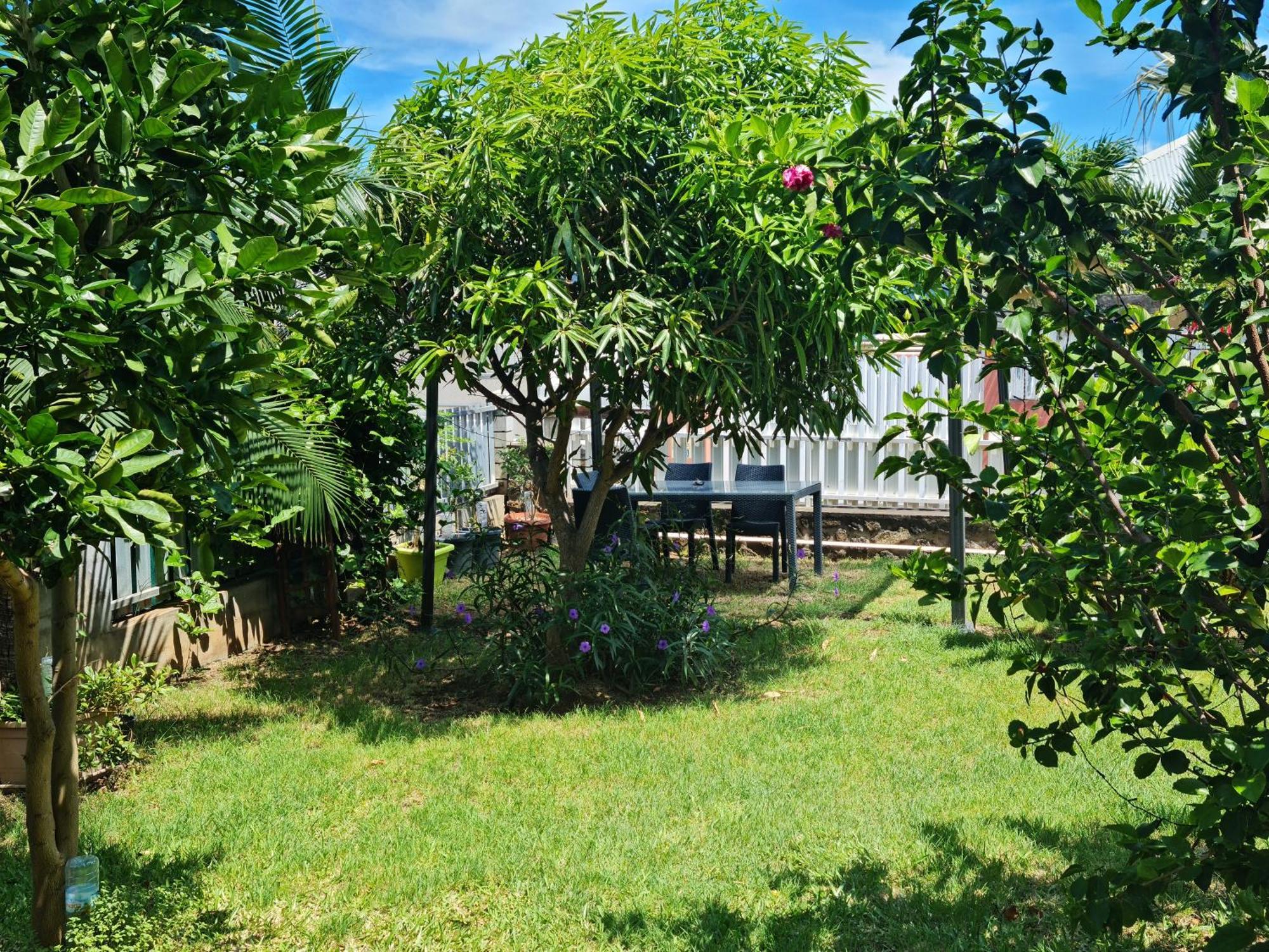 Zoizo Vert - Studio Au Calme Avec Jardin - St Leu Сен-Лё Экстерьер фото